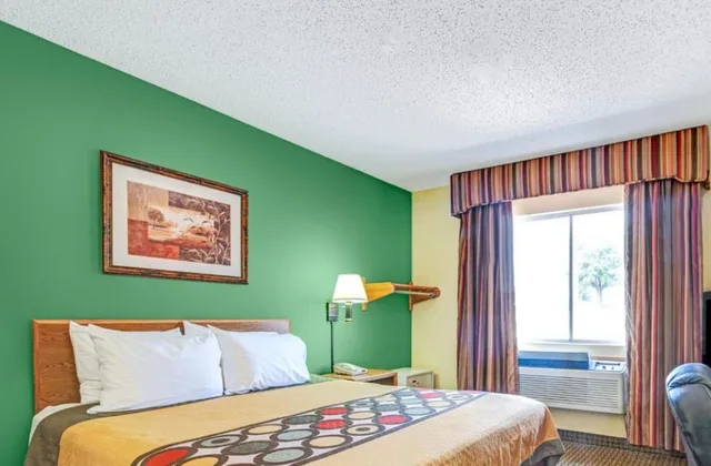 Room, King Bed, Accessible, Super 8 By Wyndham Mckinney/Plano Area 3/3