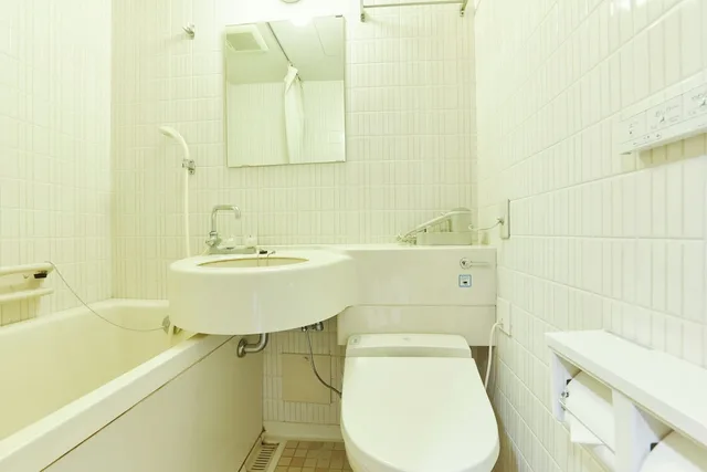 Semi Room, Semi Double Bed, Pet Friendly, Bathtub، Kamenoi Hotel Kitsuregawa (ex Kanpo No Yado Tochigi Kituregawa Onnsen) 3/3