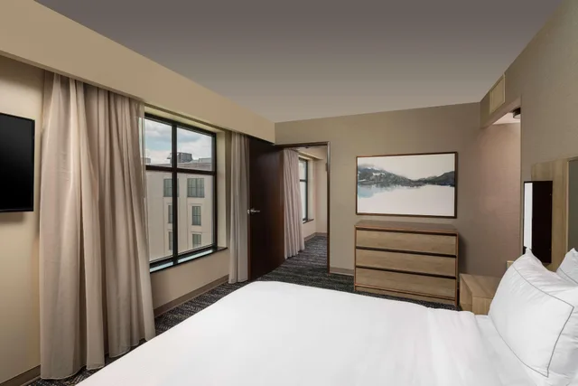 جناح بسرير كينج بغرفة نوم واحدة، Hilton Asheville Biltmore Park 1/3