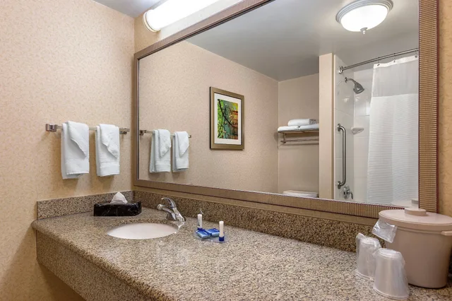 Room, King Bed, Fairfield Inn Suites Elizabeth City 3/4