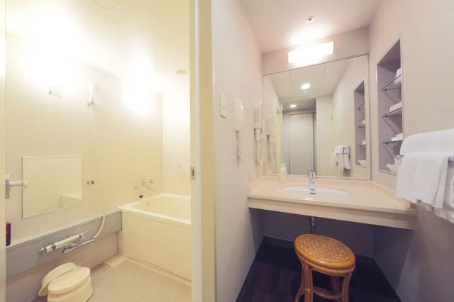 Room, Single, Twin Beds, Large, Hotel Nikko Nara 10/10