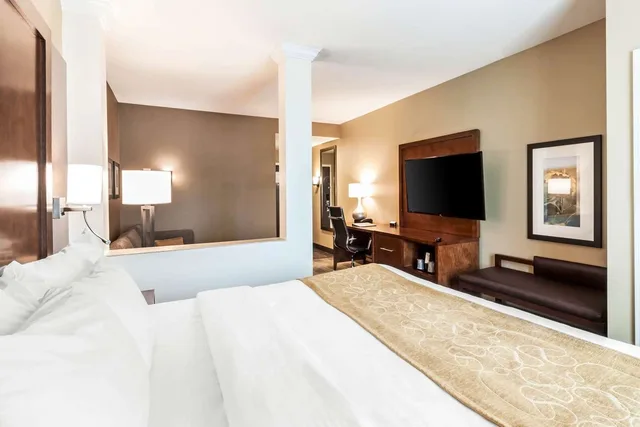 جناح بسرير كينج، Comfort Suites Brookings near University 2/2