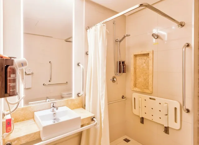 غرفة قياسية بسرير كينج لذوي الإعاقة، HOLIDAY INN GOIANIA 6/6