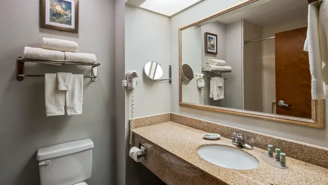 غرفة قياسية بسرير كينج، Best Western Executive Inn Corsicana 8/8