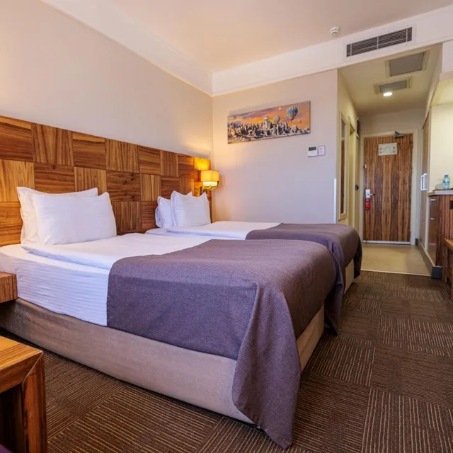 غرفة قياسية، Ramada by Wyndham Cappadocia 3/10