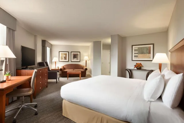 جناح جونيور بسرير كينج مع أريكة، Doubletree Hotel Minneapolis Park Place 1/4