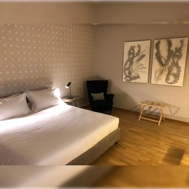 Superior, Double Bed, 200 Rooms And Terrace 2/10