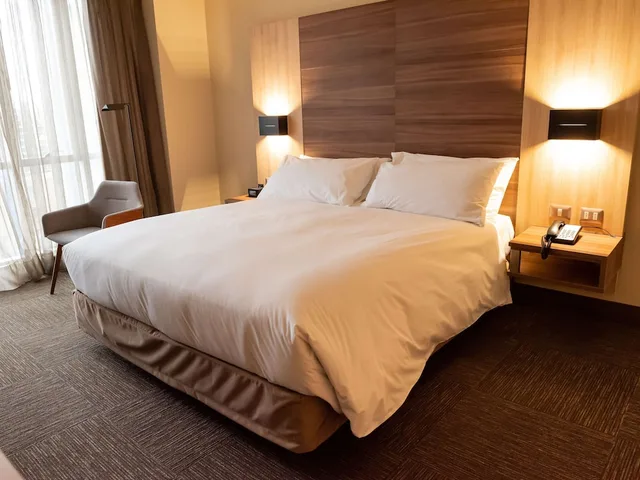 غرفة سوبيريور بسرير كينج، Hotel Costanera Concepcion 2/9