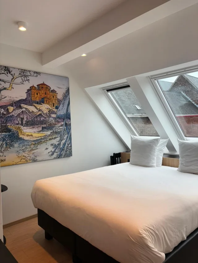 غرفة قياسية بسرير مزدوج، Comic Art Hotel 7/10
