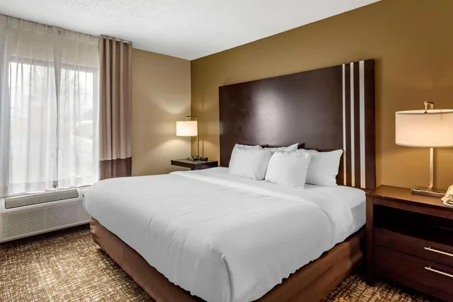 Standard, King Bed, Comfort Inn Paducah I-24 2/6