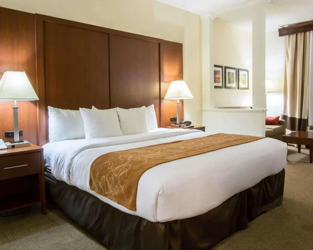 جناح بسرير كينج، Comfort Suites Cumming-Atlanta near Northside Hospital Forsyth 3/3
