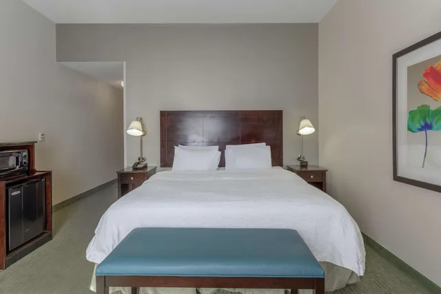 غرفة كلاسيكية بسريرين كوين لذوي الإعاقة، Hampton Inn Richmond South 3/6