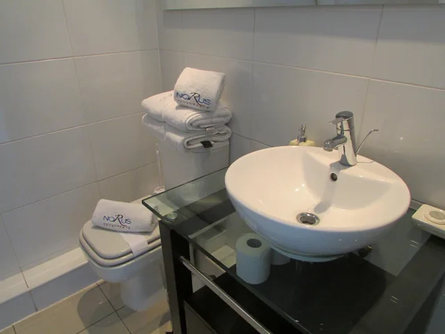 2 Bedrooms, Apartment, Balcony, Norus Apartments Las Condes 5/10