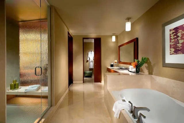 جناح تنفيذي بسرير كينج بغرفة نوم واحدة مع أريكة بحوض جاكوزي، Westin Memphis Beale Street 4/4