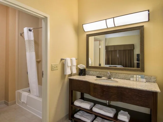 استوديو بسرير كينج مع أريكة لذوي الإعاقة، Hampton Inn and Suites Rogers 6/6