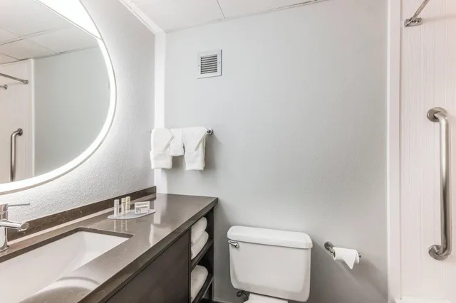 غرفة بسرير مزدوج لذوي الإعاقة، Courtyard Rockaway Mt Arlington 5/5