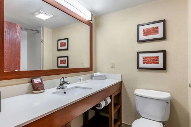 جناح بسريرين كوين، Comfort Inn & Suites Orlando North 1/1