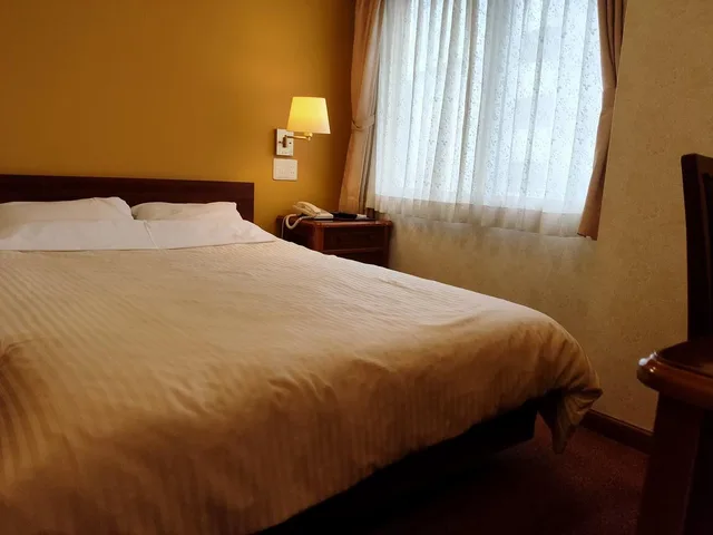 غرفة ديلوكس مفردة للمدخنين، Beppu Station Hotel 1/1
