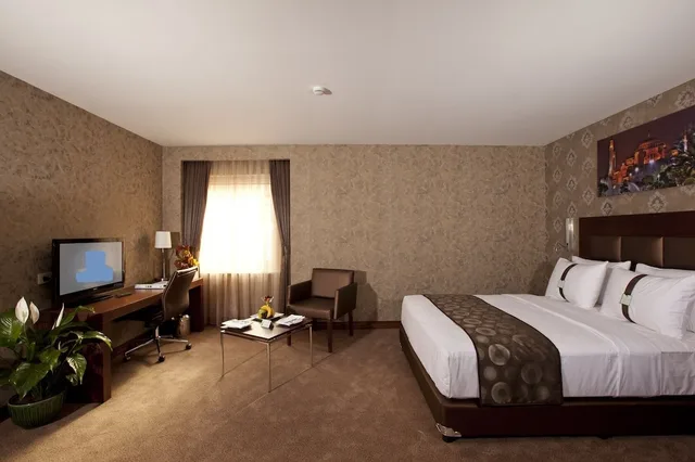 غرفة كلاسيكية بسرير مزدوج، Holiday Inn Gebze Istanbul Asia 1/2