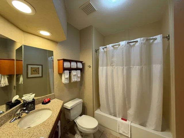 غرفة قياسية بسرير كينج، Best Western Forsyth - Decatur 6/6