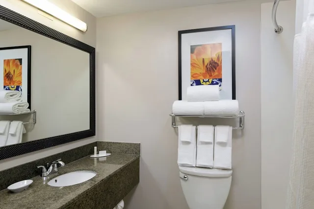 Room, King Bed, Accessible, Fairfield Inn Suites San Diego Old Town 7/9