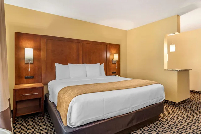غرفة بسرير كينج لذوي الإعاقة، Comfort Inn & Suites Athens North GA 3/4
