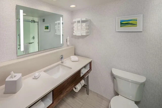 Room, King Bed, Hampton Inn Asheville Tunnel Road 3/3