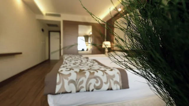 غرفة قياسية بسريرين منفصلين، Esila Hotel 6/7
