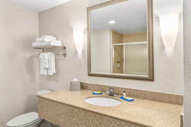 غرفة قياسية بسرير كينج، Holiday Inn Express Hotel And Suites Wilmington Newark 3/7