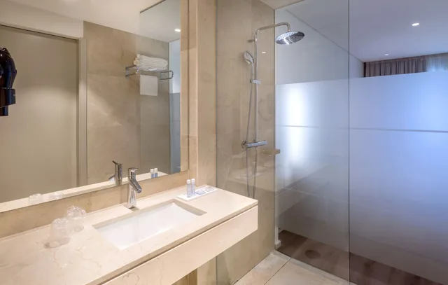 جناح بريميوم بسرير مزدوج، Oporto Airport Business Hotel 3/8