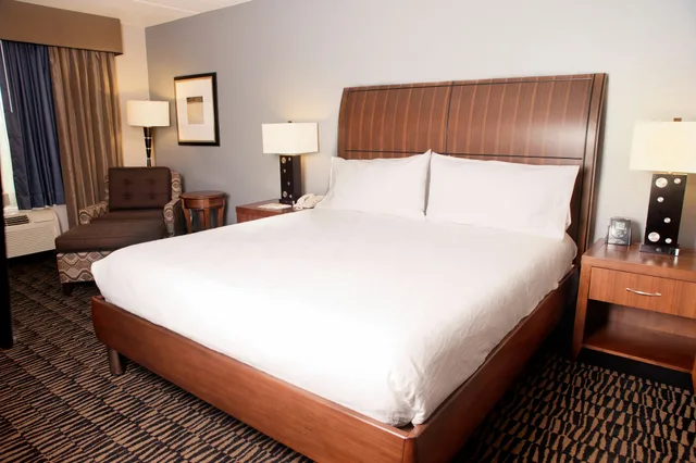 غرفة بسرير كينج، Hilton Garden Inn Austin NW/Arboretum 2/2