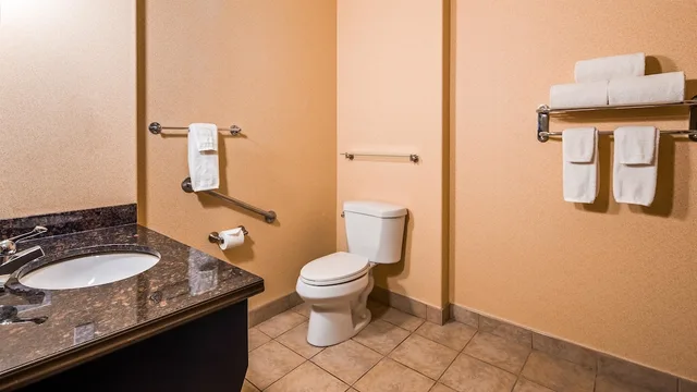 غرفة قياسية بسرير كينج لذوي الإعاقة، Best Western Estevan Inn & Suites 5/7