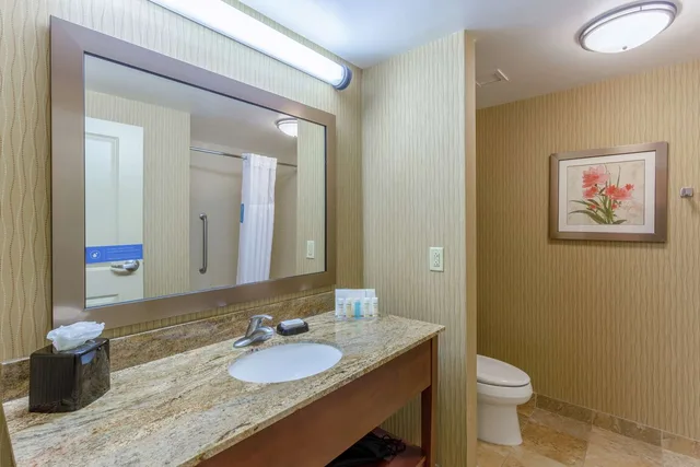 Studio, Suite, King Bed, Sofa, Hampton Inn Baltimore Owings Mills 4/4