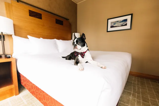 Emerald, Suite, King Bed، Grand Hyatt Seattle 3/5
