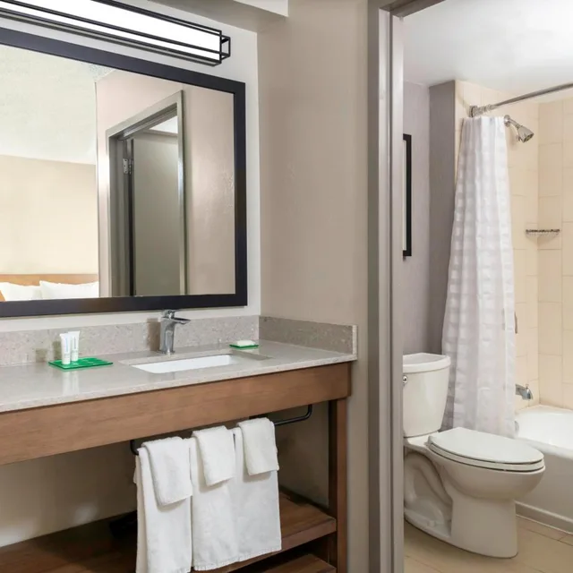 Room, 2 Double Beds, Sofa, High Floor, Hyatt Place Dallas/Arlington 3/3