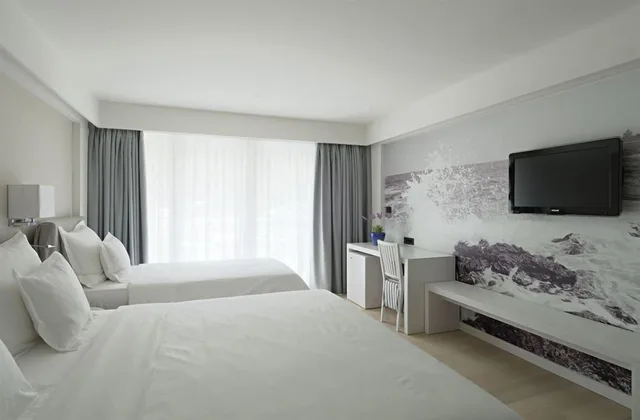 Room, Double Bed, Park View, Balcony, Hotel Osejava 1/2