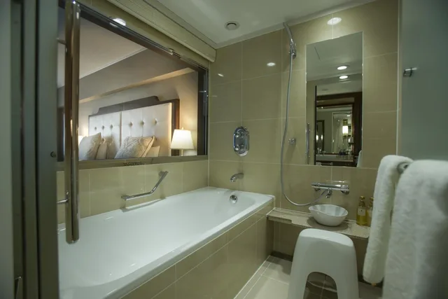 Premier, Deluxe, Double Bed, Kyoto Century Hotel 6/6