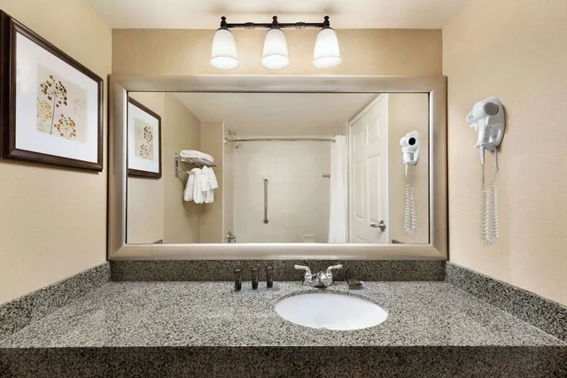غرفة بسرير كينج لذوي الإعاقة، Wingate by Wyndham Greenwood Village/Denver Tech 5/7