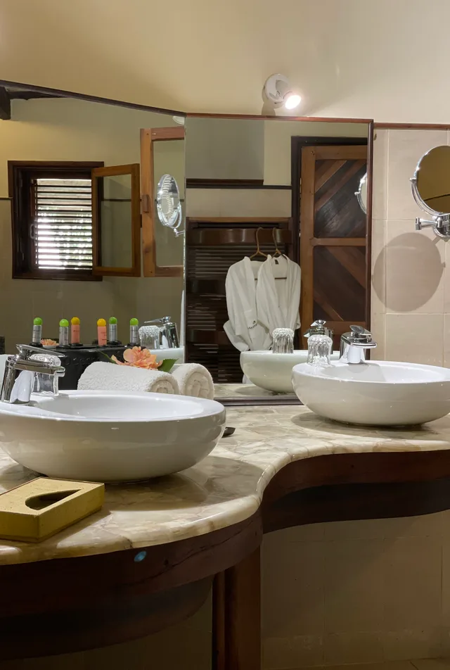 فيلا تنفيذية، Ravintsara Wellness Hotel 4/4