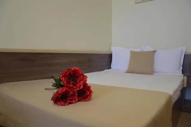 غرفة اقتصادية مفردة، Hotel Sps 4/6