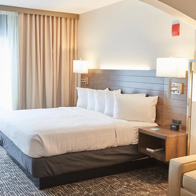 استوديو بسرير كينج مع أريكة، Gundersen Hotel & Suites 1/6