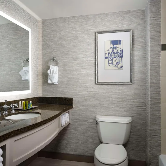 غرفة بسرير كينج بشرفة بحوض استحمام لذوي الإعاقة، Hilton Virginia Beach Oceanfront 6/7