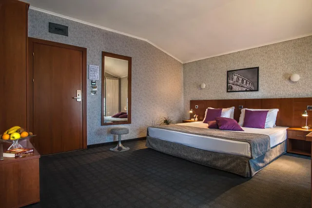 غرفة قياسية بسرير كينج، Forum Hotel 1/1
