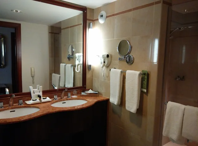 غرفة ديلوكس بسريرين منفصلين، Occidental Paris Levallois 4/4