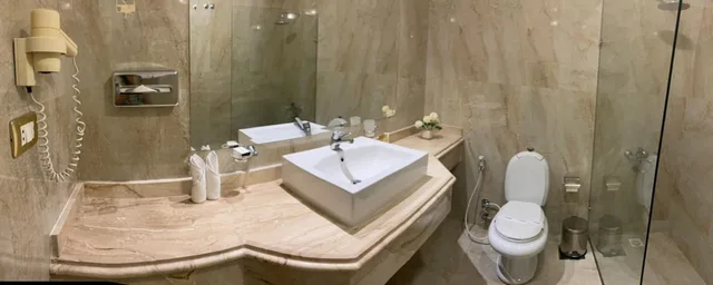 Golden Classic Room City View with Light Dinner، Le Metropole Luxury Heritage Hotel Since 1902 by Paradise Inn Group 9/9