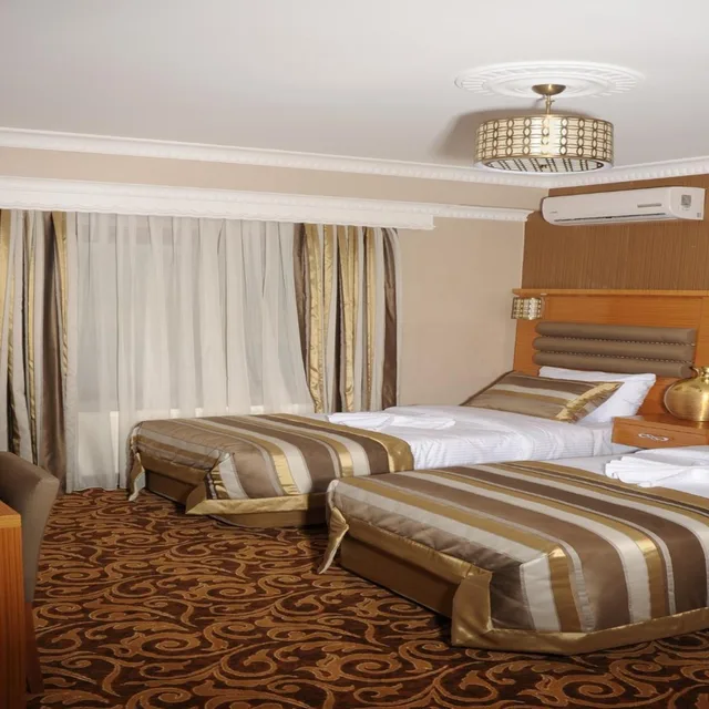 غرفة قياسية بسرير مزدوج أو سريرين منفصلين، Alfa Hotel Istanbul 1/5