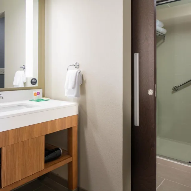 Specialty, King Bed, Sofa، Hyatt Place Kansas City Lenexa City Center 3/3