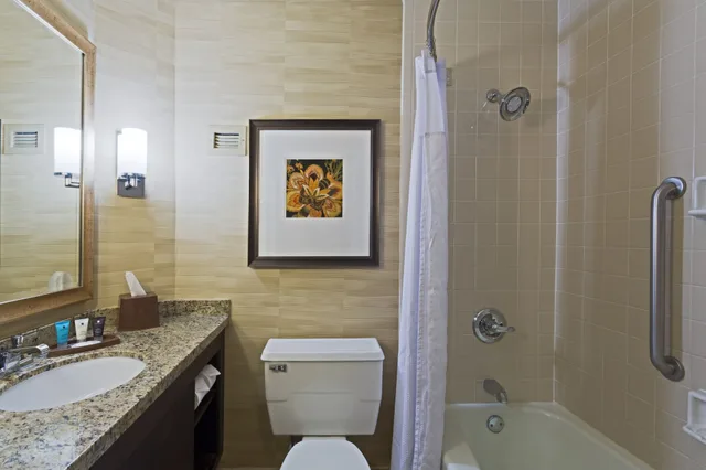Standard, King Bed, Wyndham Jacksonville Hotel and Conference Center 8/10