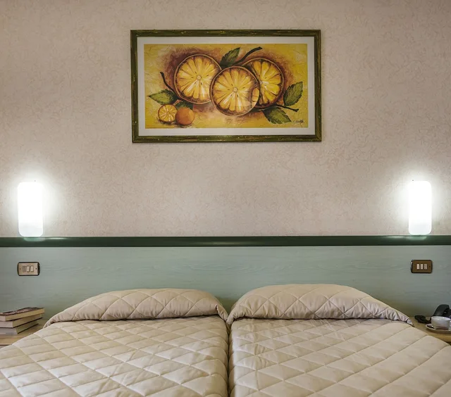 Standard, Murphy Bed, Queen Bed, Garden View, Hotel Du Lac 6/10