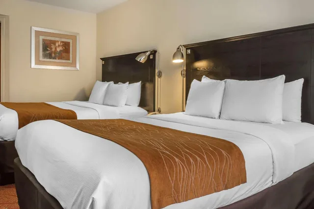 Upgrade, Efficiency, Suite, 2 Queen Beds, Accessible، Comfort Inn & Suites LaGuardia Airport 2/4